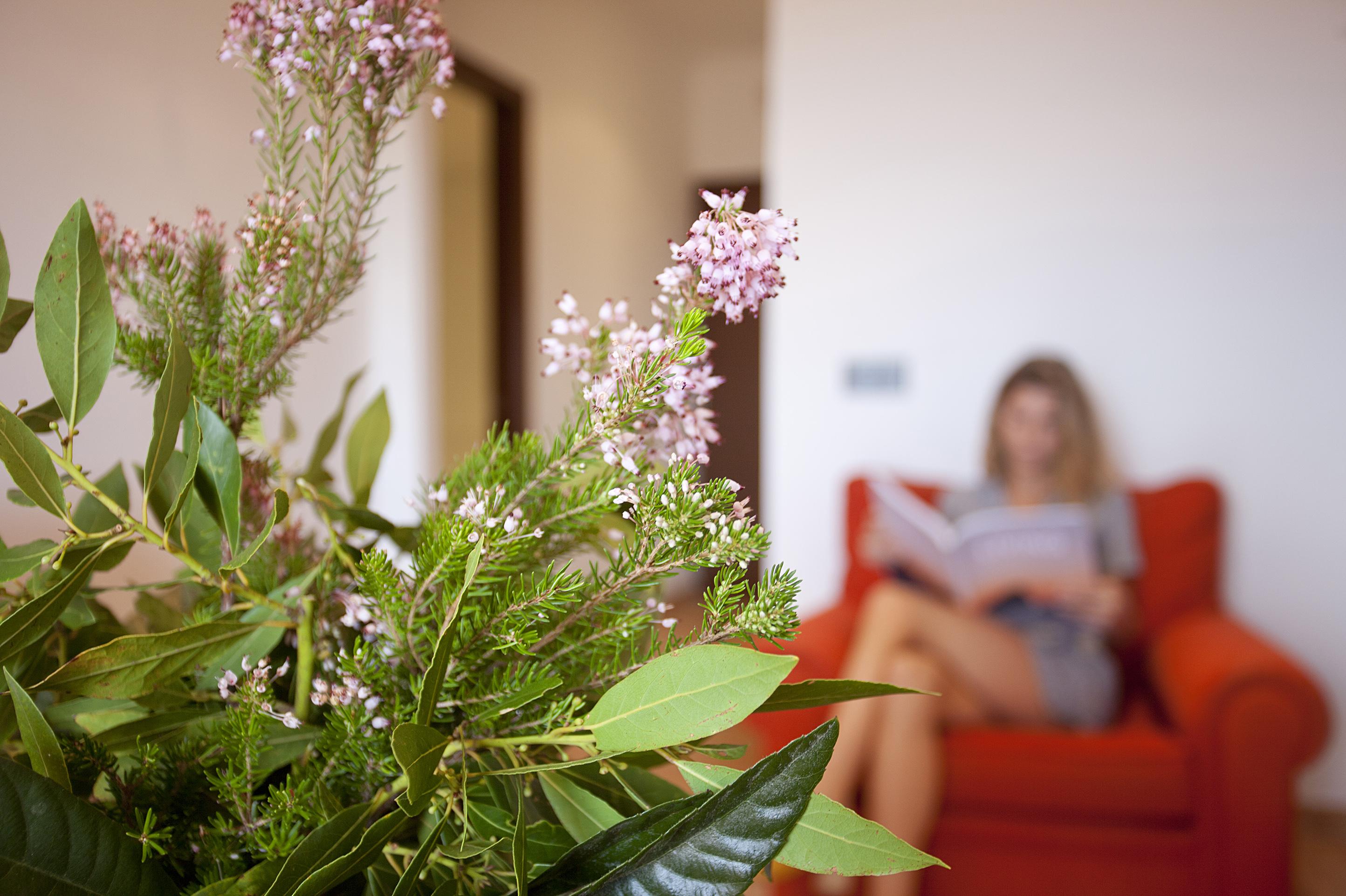 Hotel Maristel & - Adults Only Estellencs (Estellenchs)